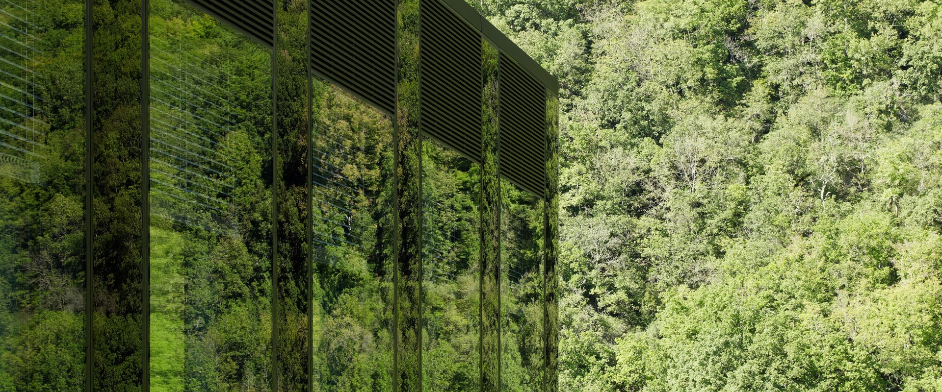 Environment