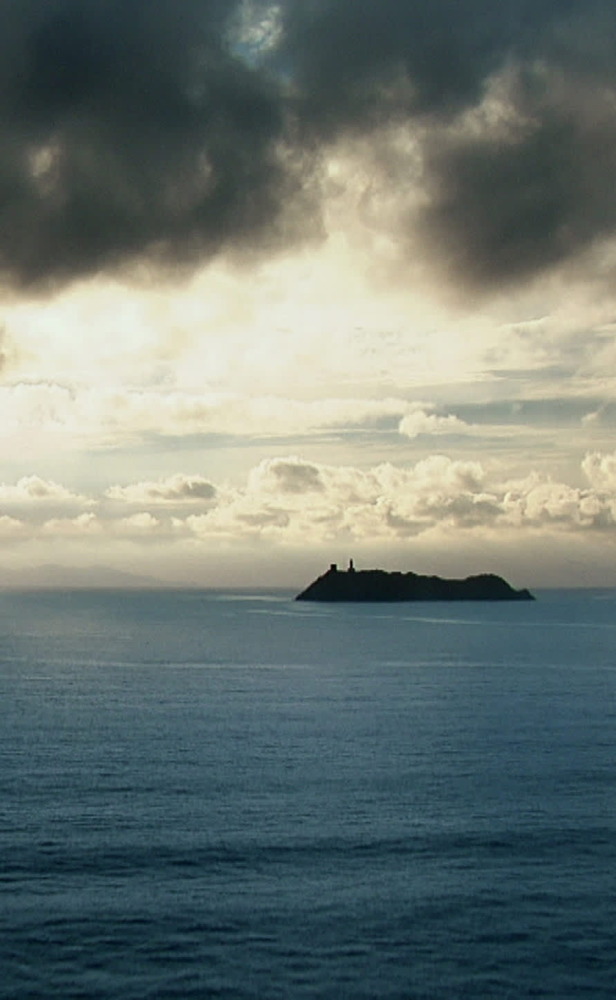 Flying towards victory