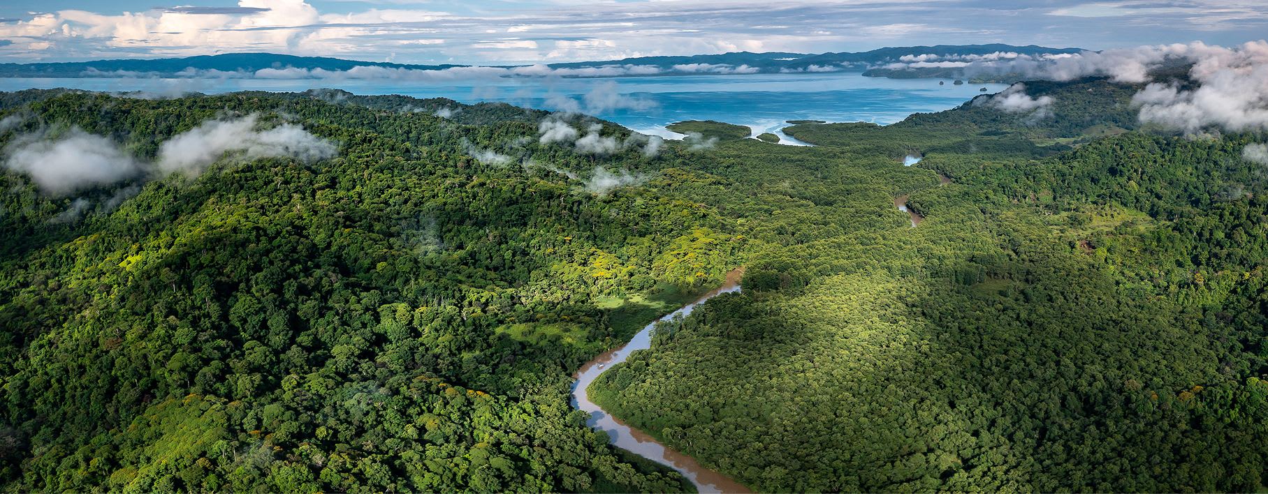 为地球未来努力