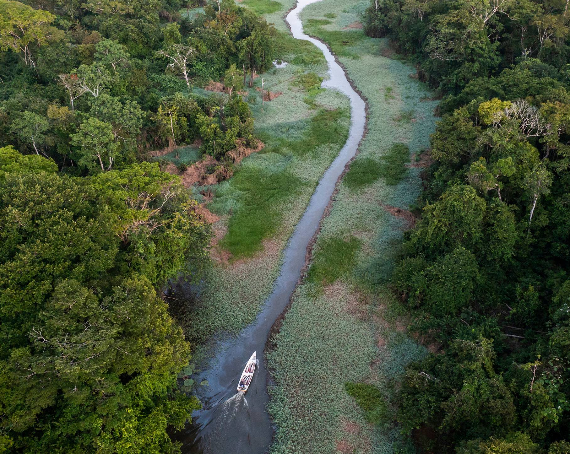 2026年劳力士大奖