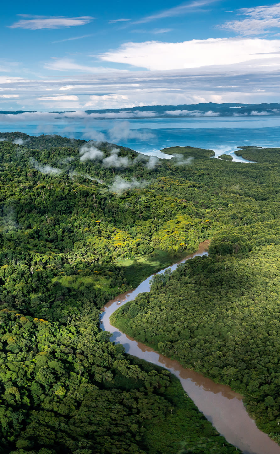 为地球未来努力