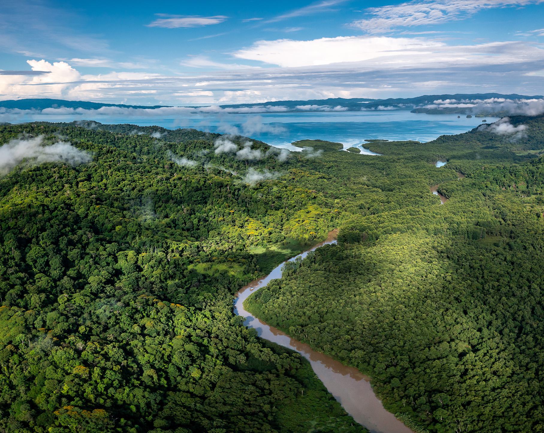 为地球未来努力