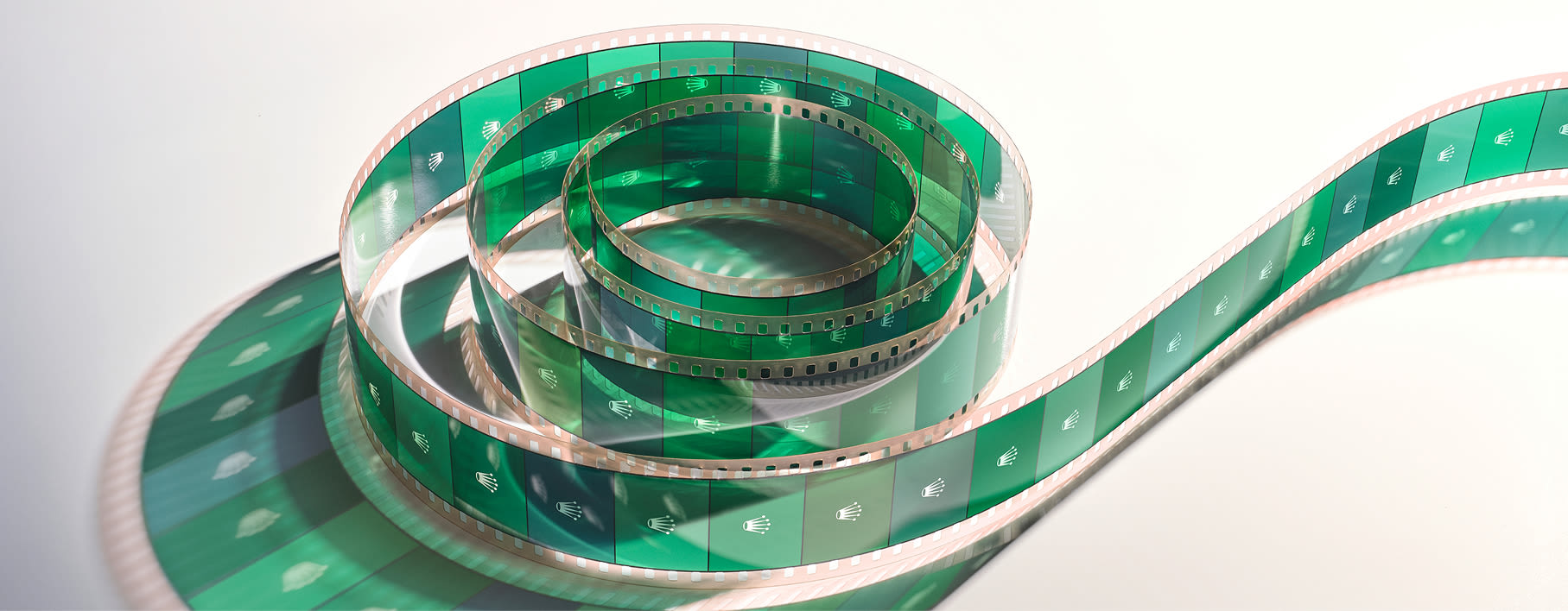 A journey of creativity and excellence