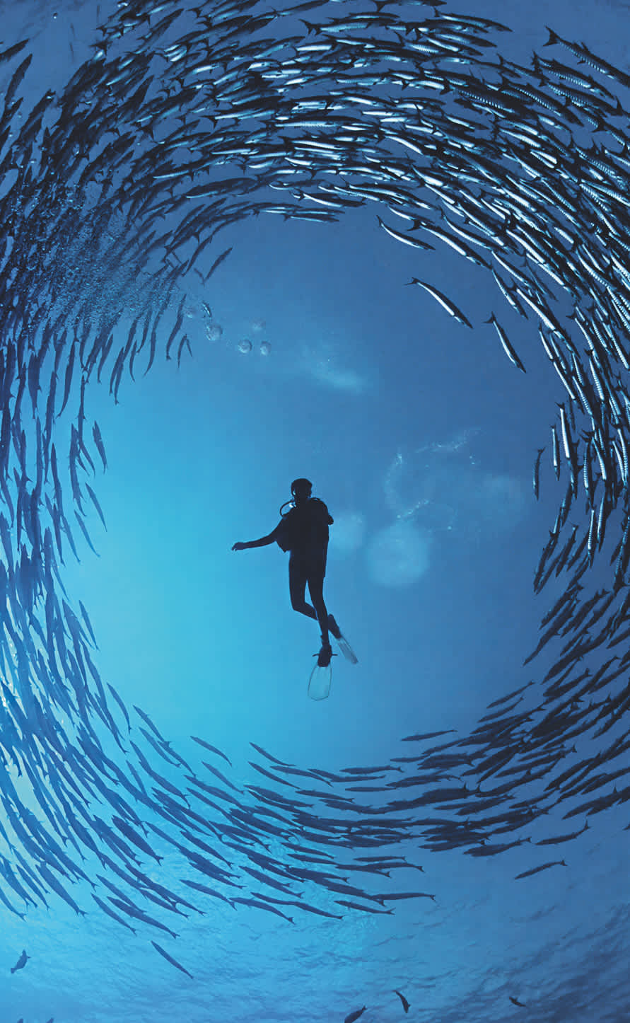 Uncovering a new perspective