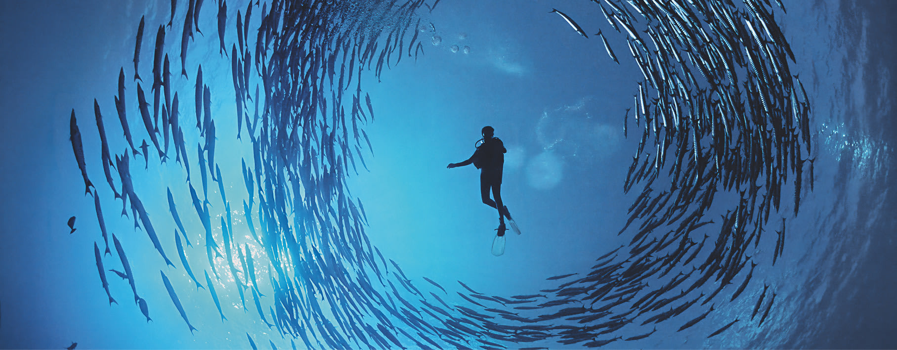 Uncovering a new perspective