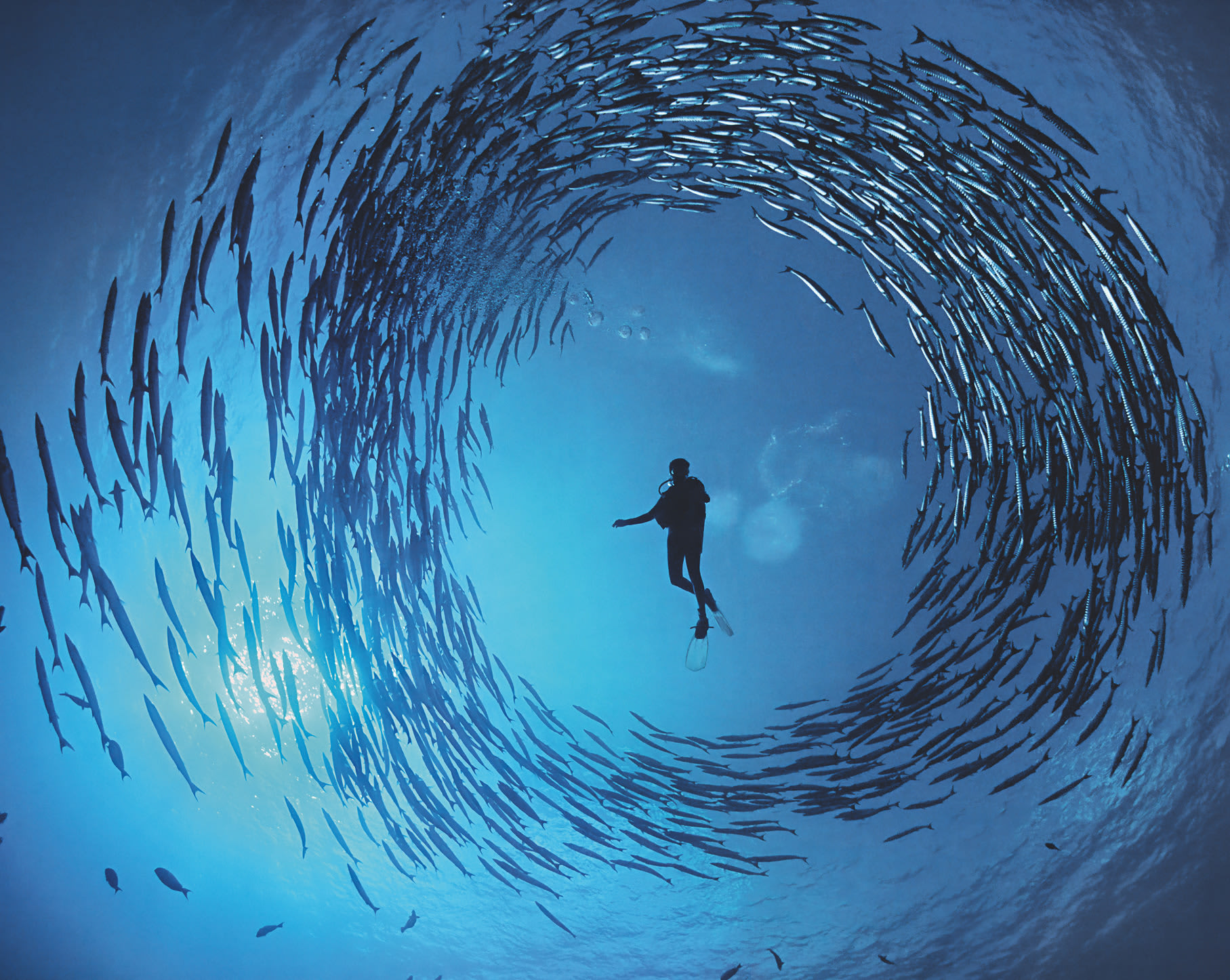 Uncovering a new perspective