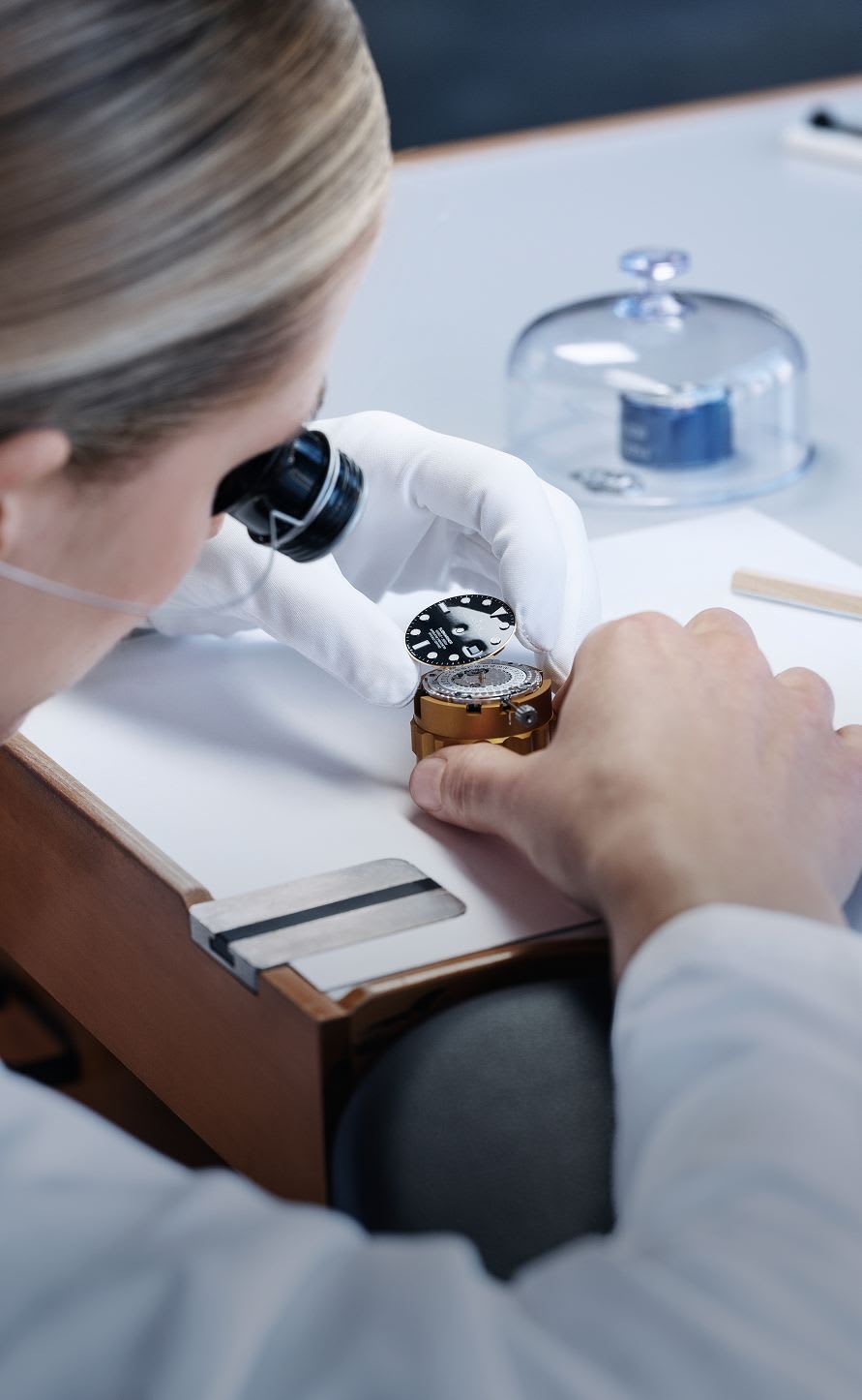 劳力士行动领域