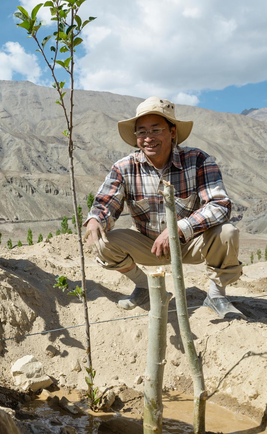 “恒动不息”计划