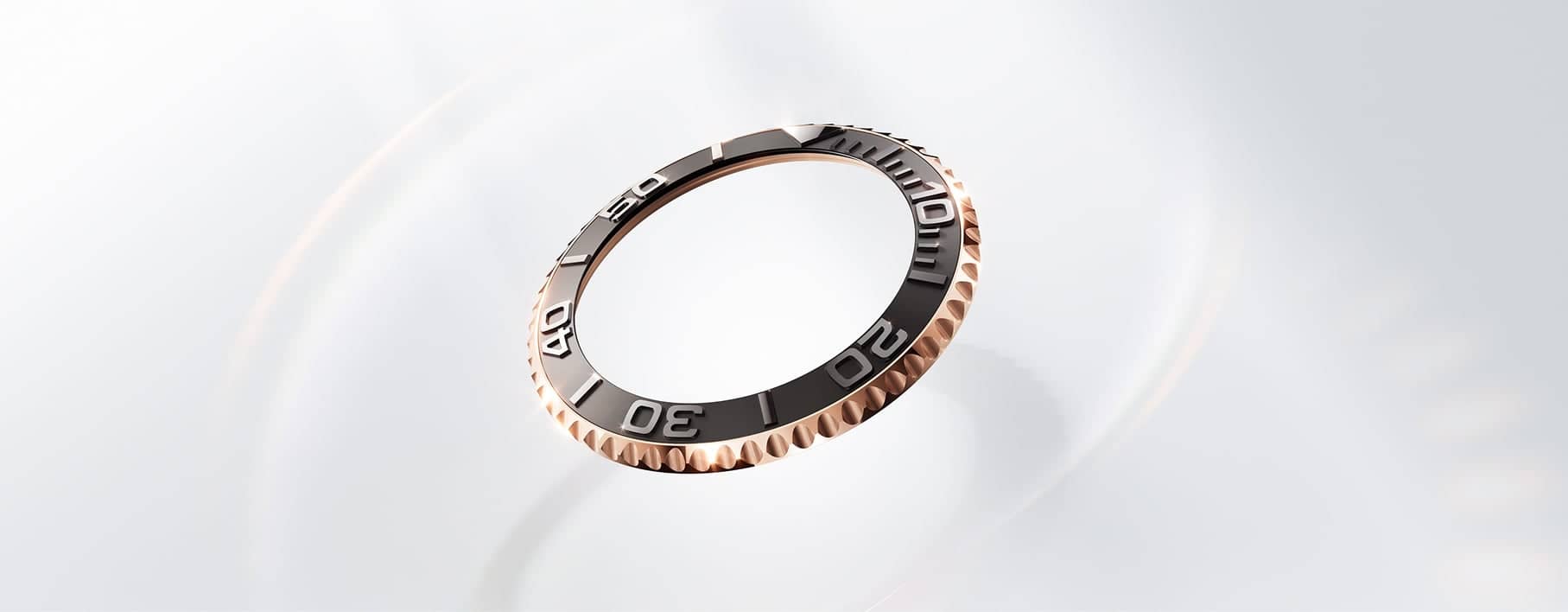 Bidirectional rotatable bezel