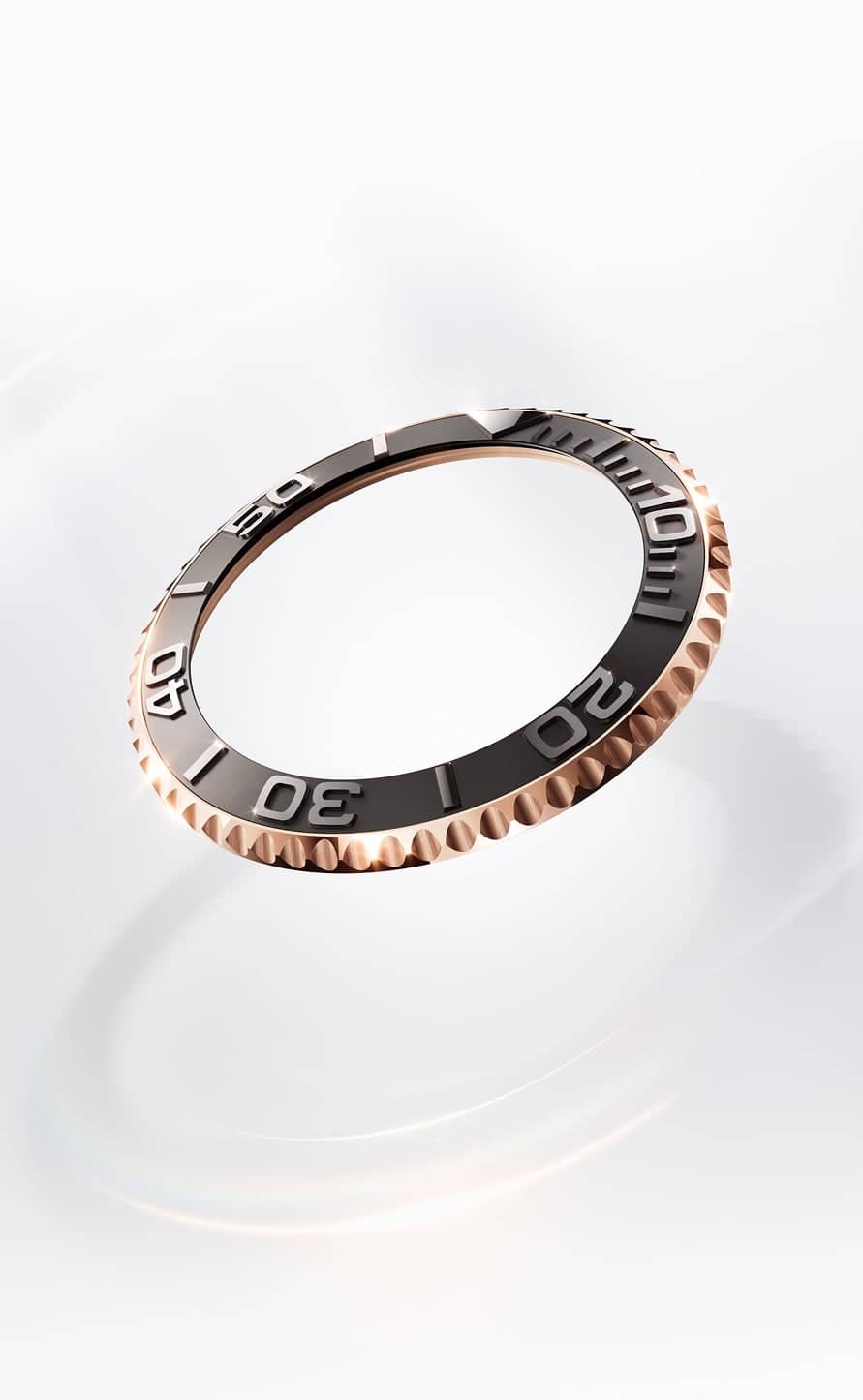 Bidirectional rotatable bezel