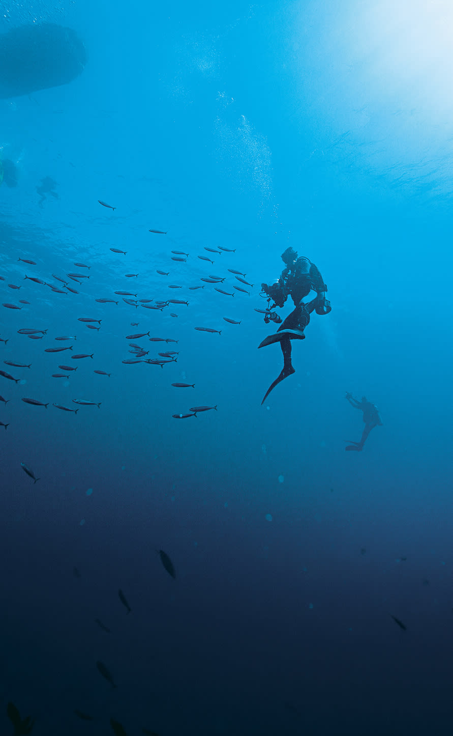 The journey to the deep