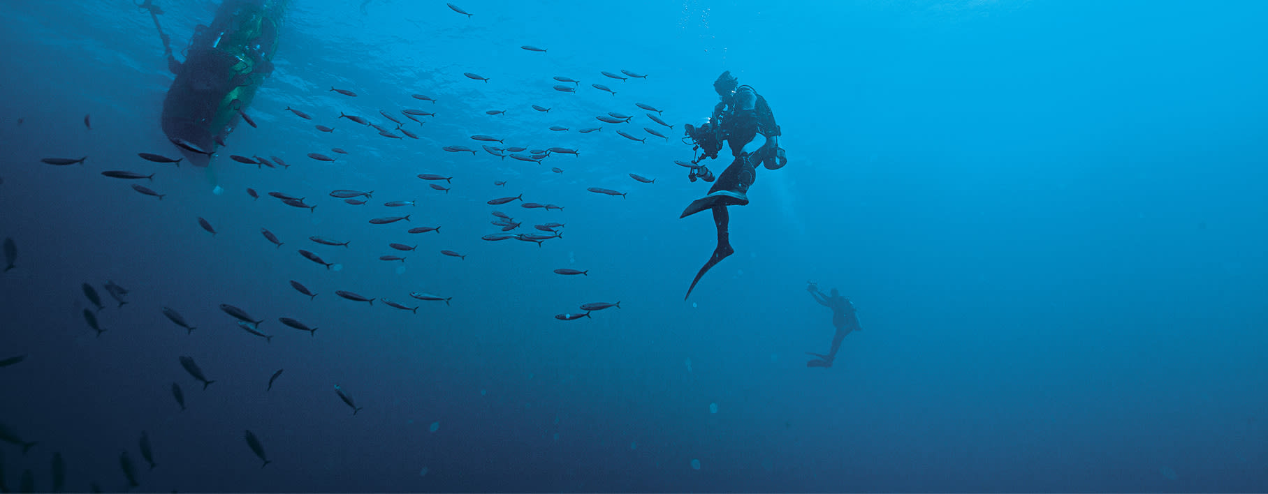 The journey to the deep