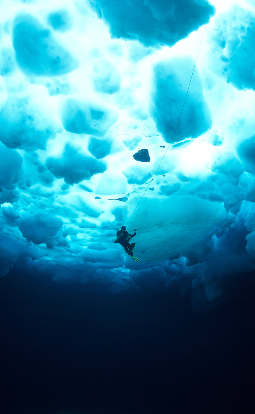 Those defying the impossible