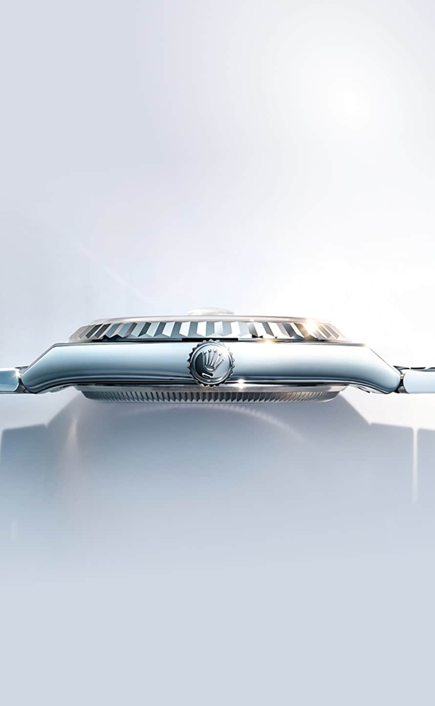 Land-Dweller - Features