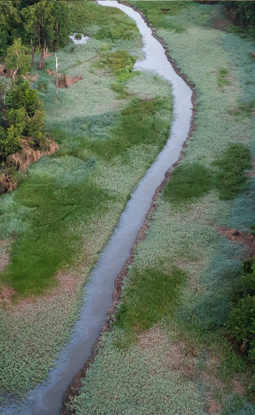 2026年劳力士大奖