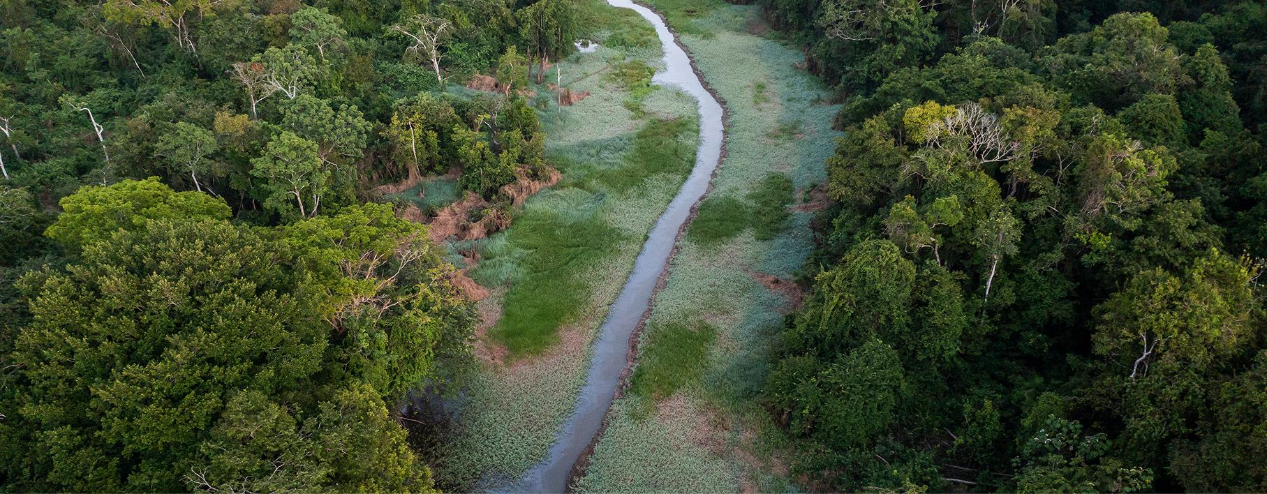 2026年劳力士大奖