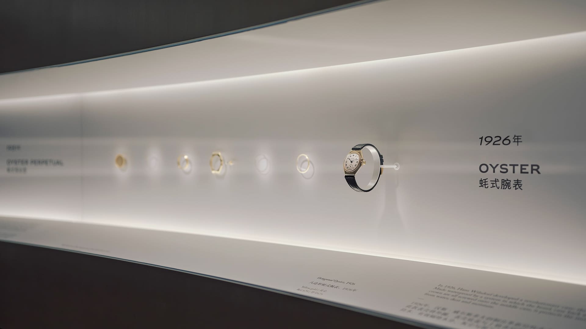 The exhibition - First Oyster