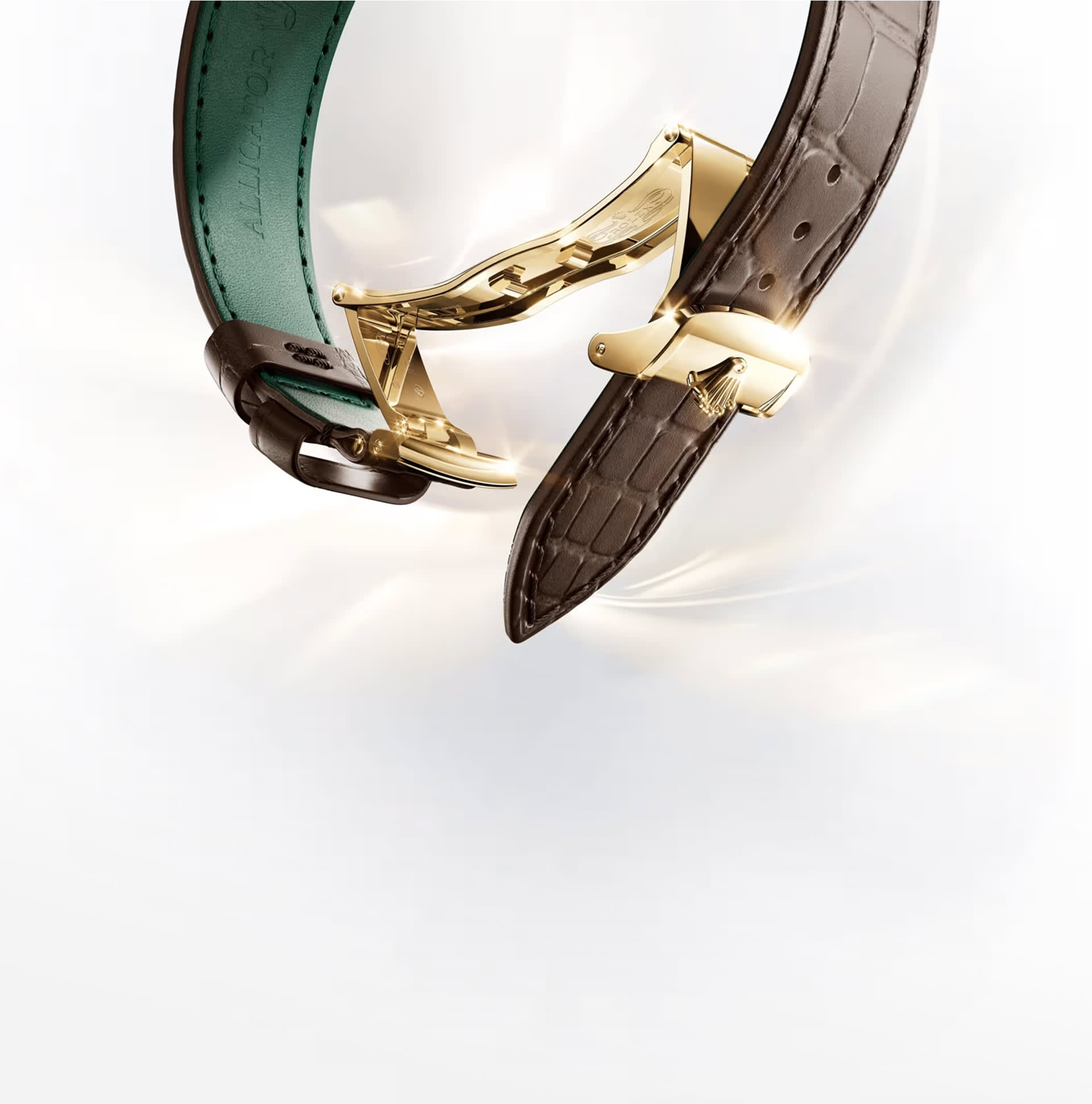 Dualclasp