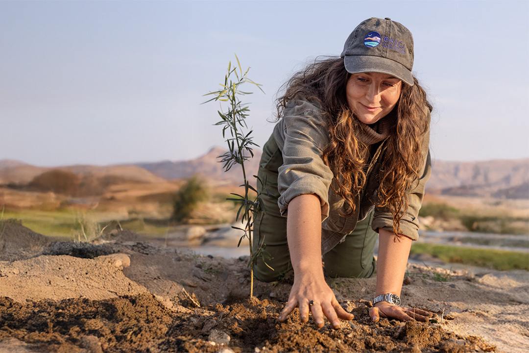 ORKCA — Rewilding a desert
