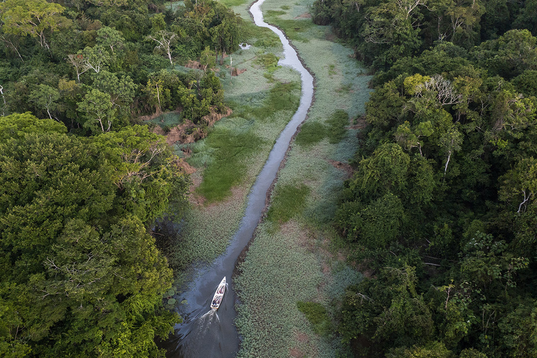 2026年劳力士大奖