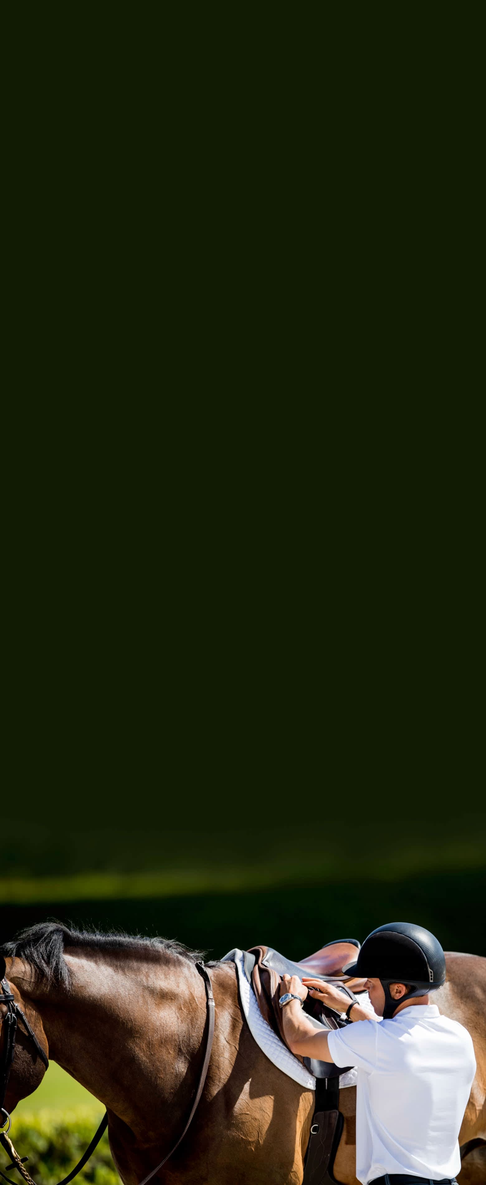 World Equestrian Festival