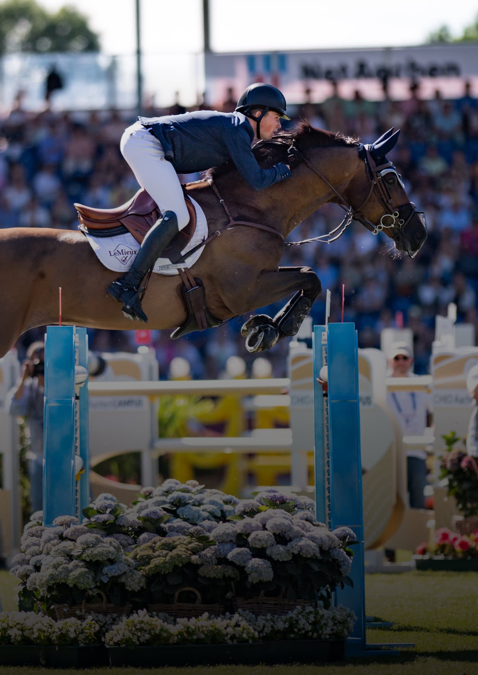Rolex and equestrianism