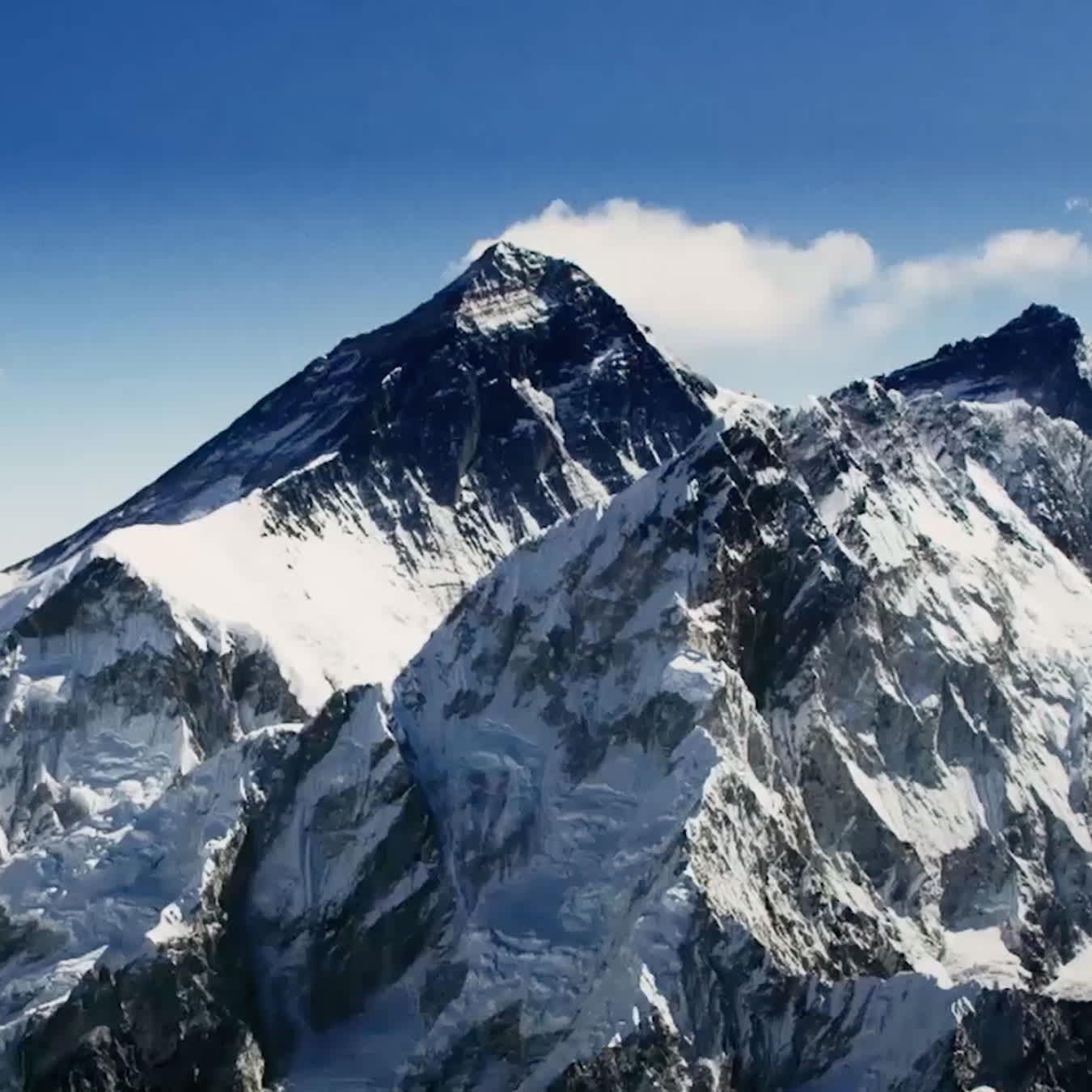 保护地球・恒动不息