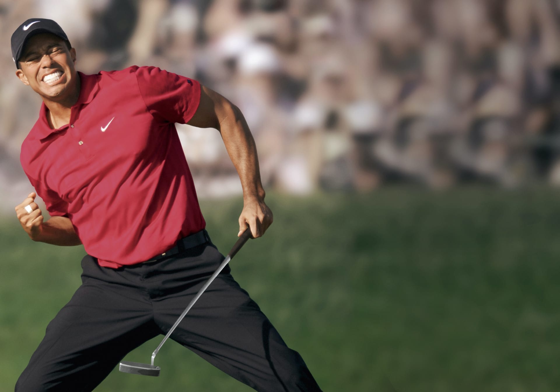 Tiger Wood