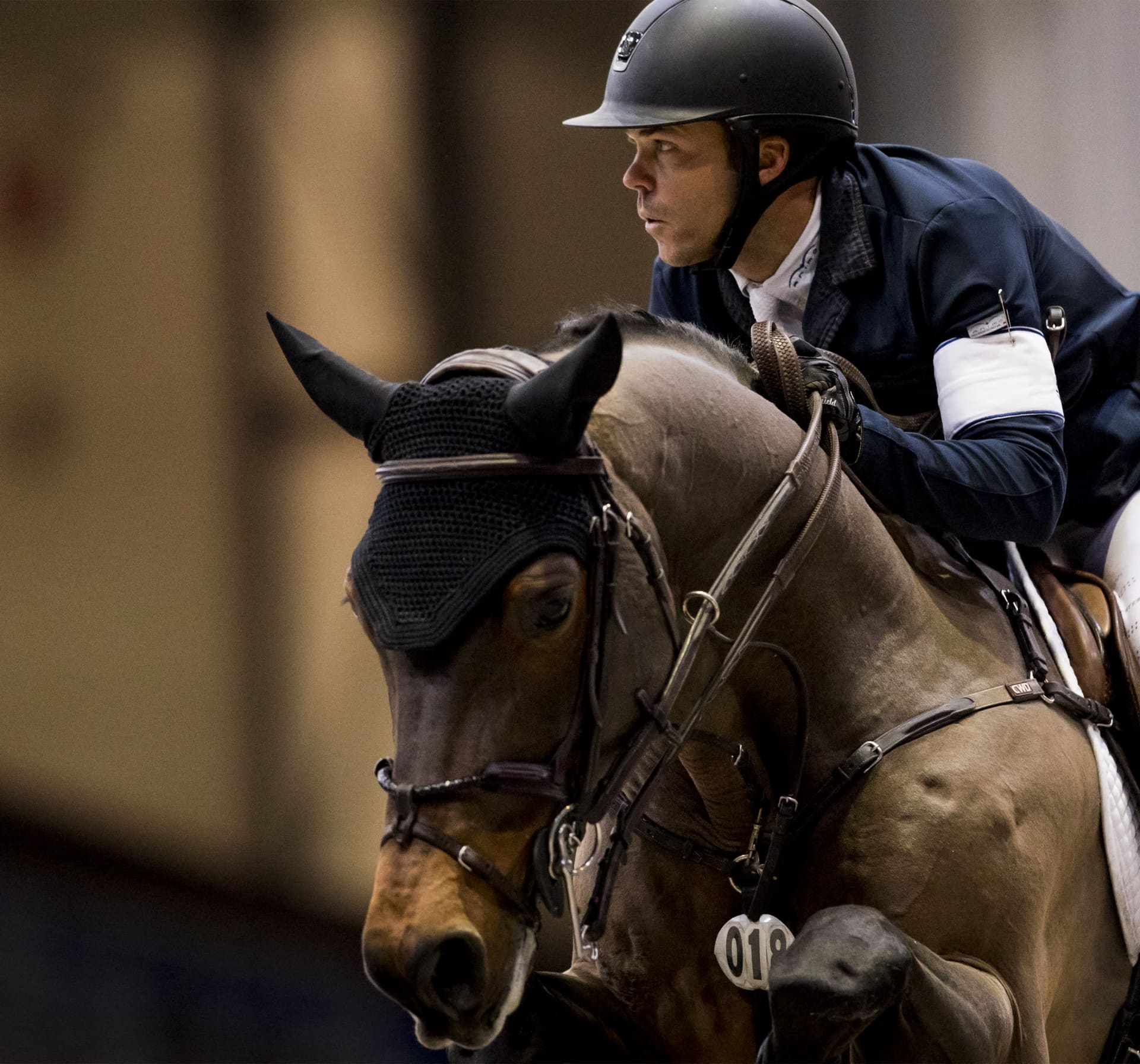 Taking the reins of success