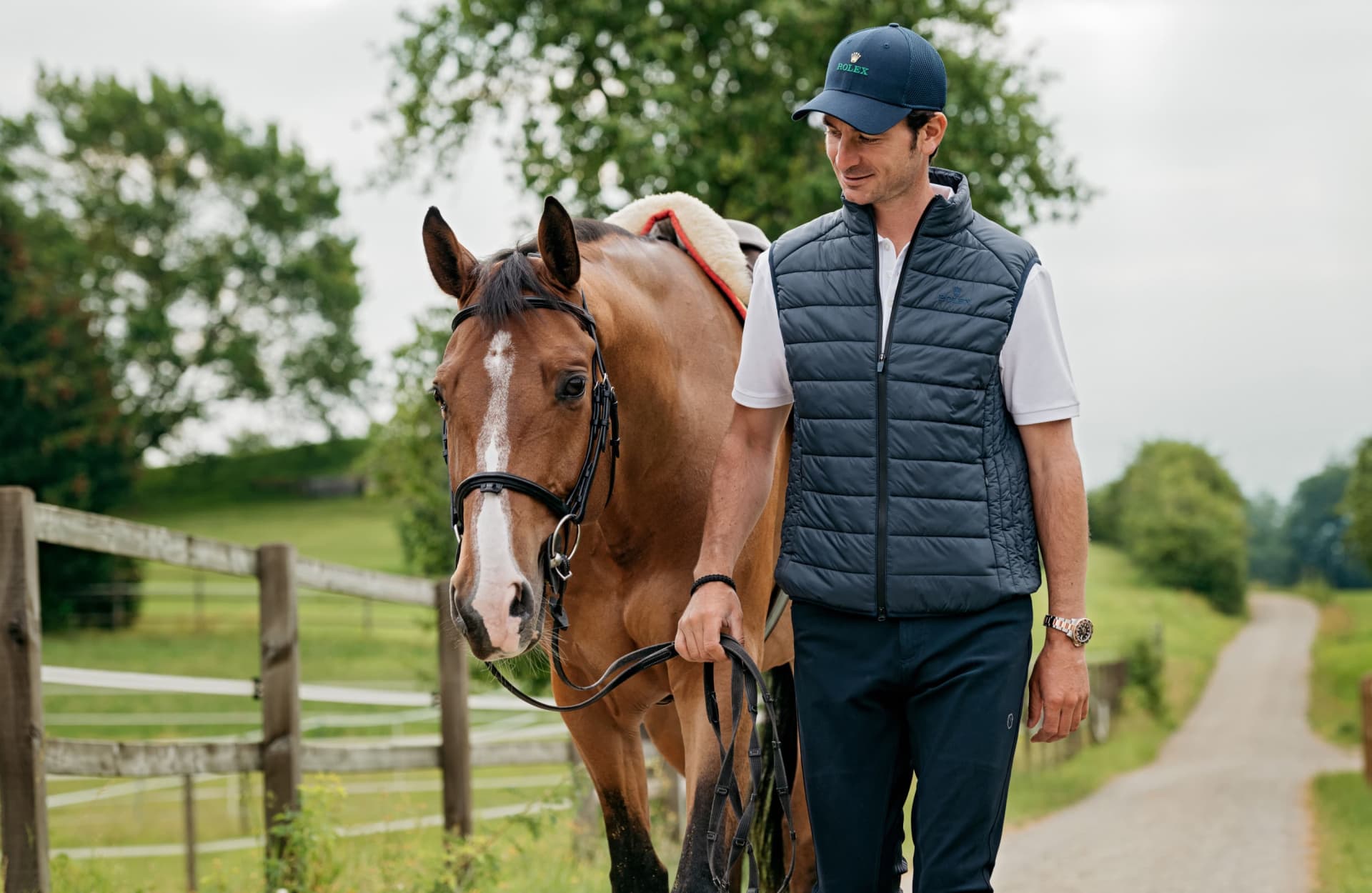 史蒂夫・戈尔达