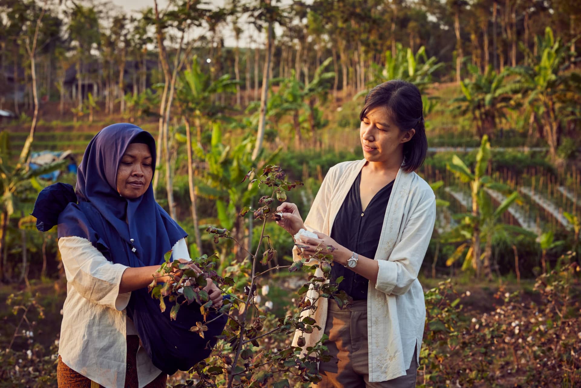 丹妮卡・里亚迪尼-弗莱什