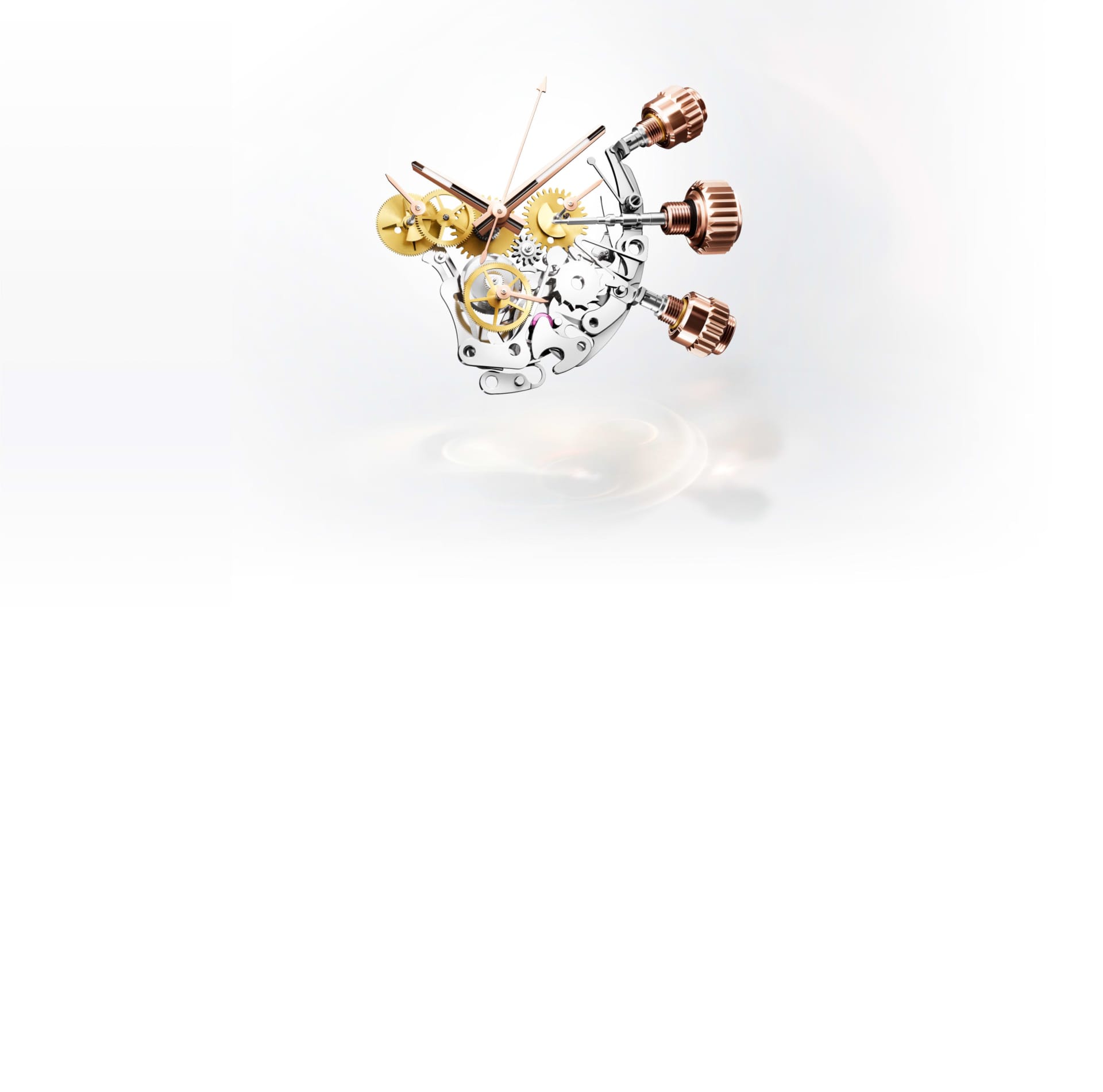 Chronograph Function