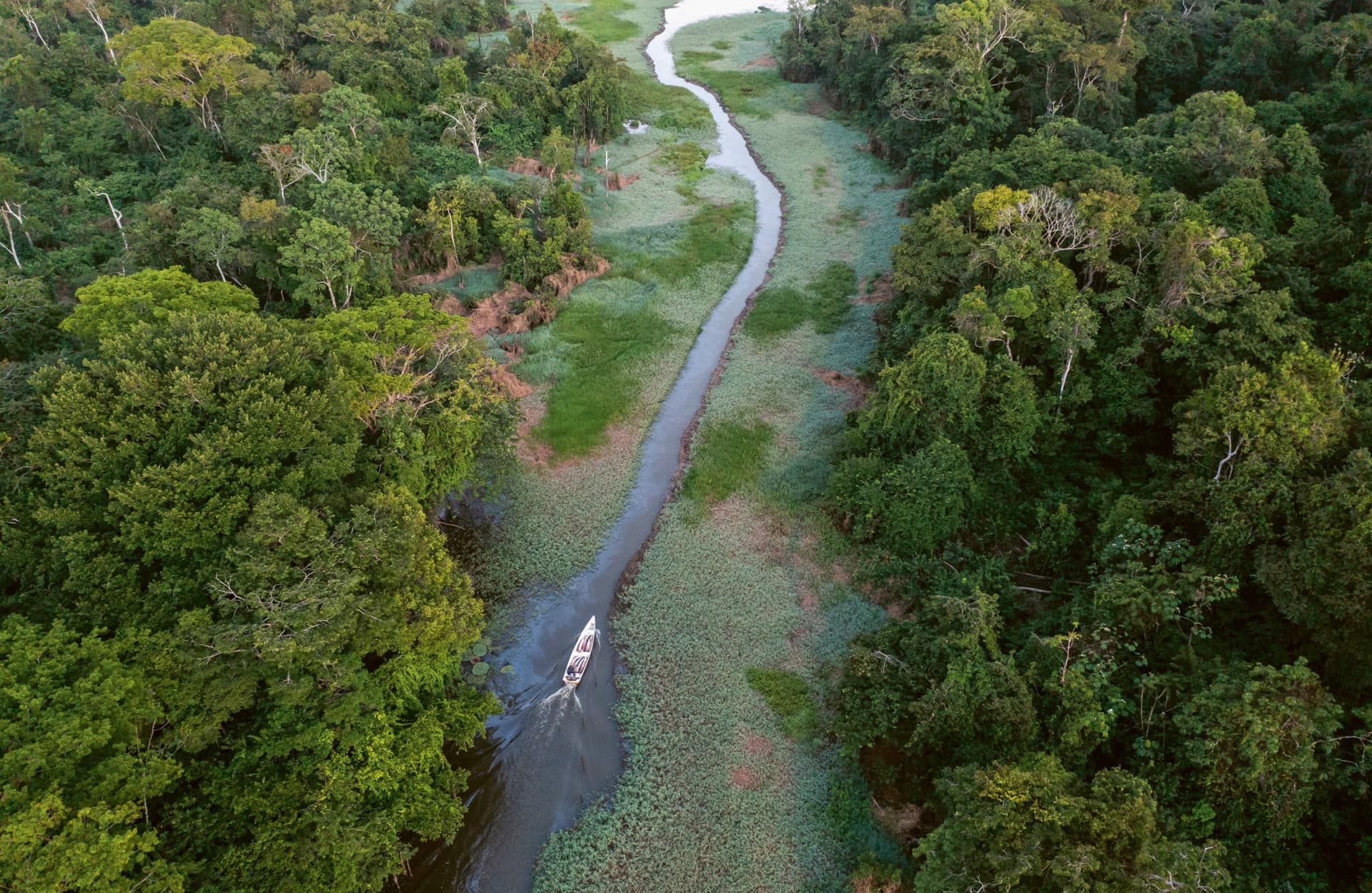 Amazon expeditions