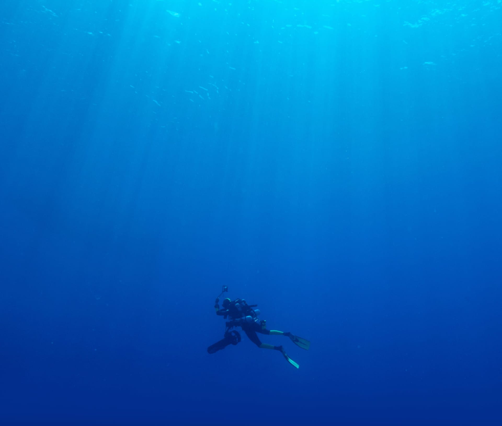 Diver