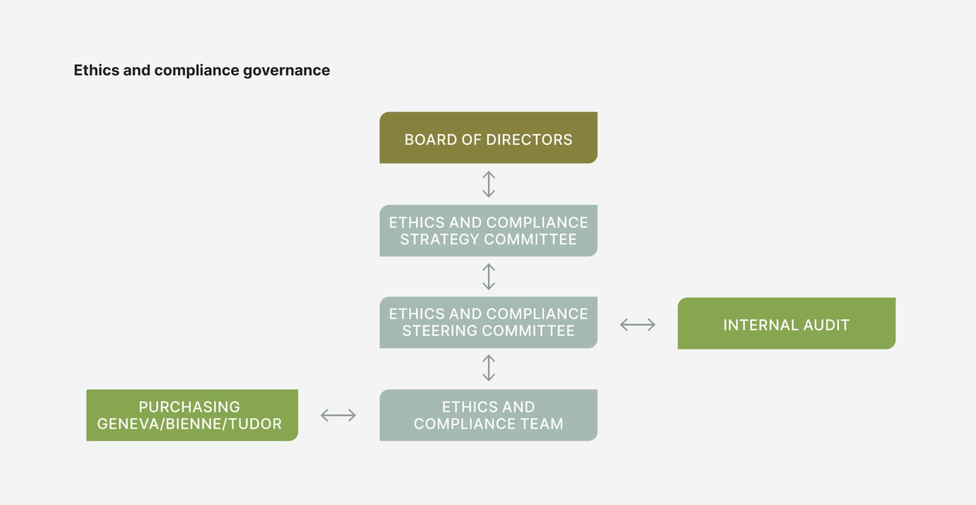 This diagram presents the governance structure for ethics and compliance at Rolex. The Board of Directors oversees the Ethics and Compliance Strategy Committee, which works in tandem with the Ethics and Compliance Steering Committee and the Internal Audit function. The Ethics and Compliance Team manages daily operations and reports to the Steering Committee. Dedicated purchasing teams in Geneva, Bienne, and TUDOR ensure ethics and compliance are upheld across all Rolex entities, supporting the company’s commitment to integrity, regulatory compliance, and responsible business practices.