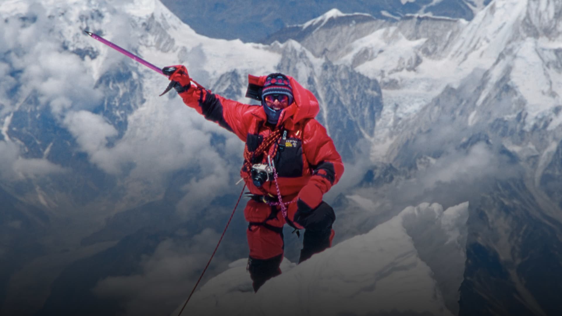 艾德・维思特斯