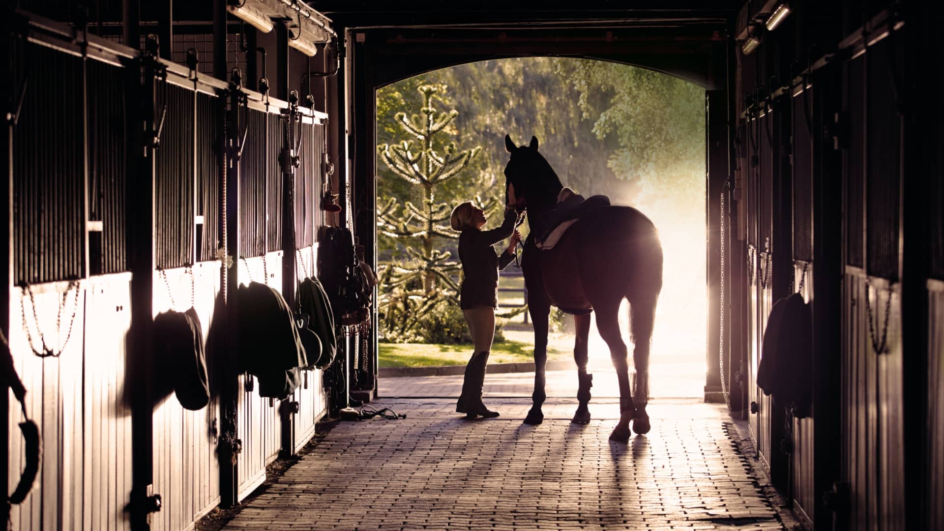 Meredith Michaels-Beerbaum 