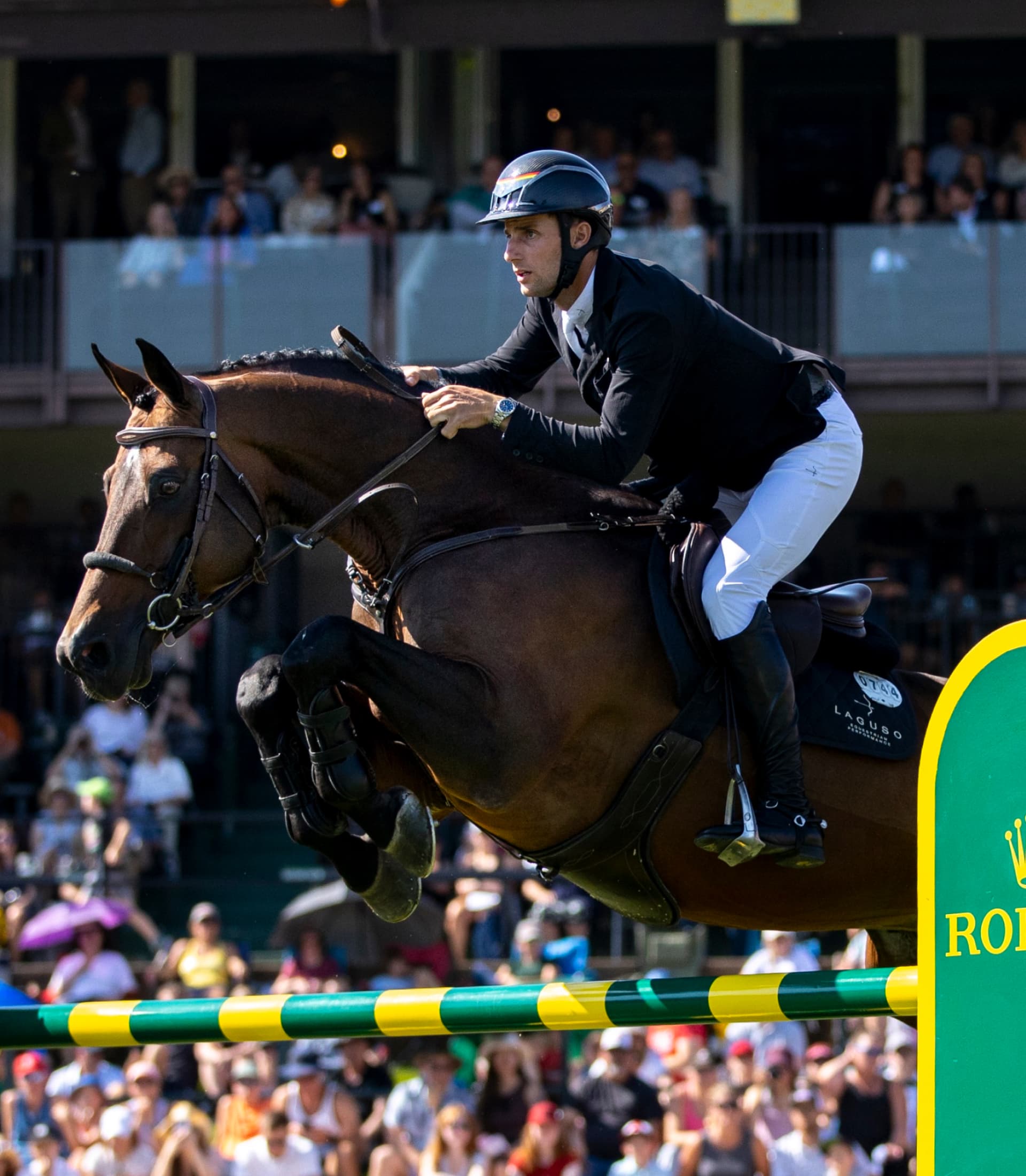 理查德・沃格尔  