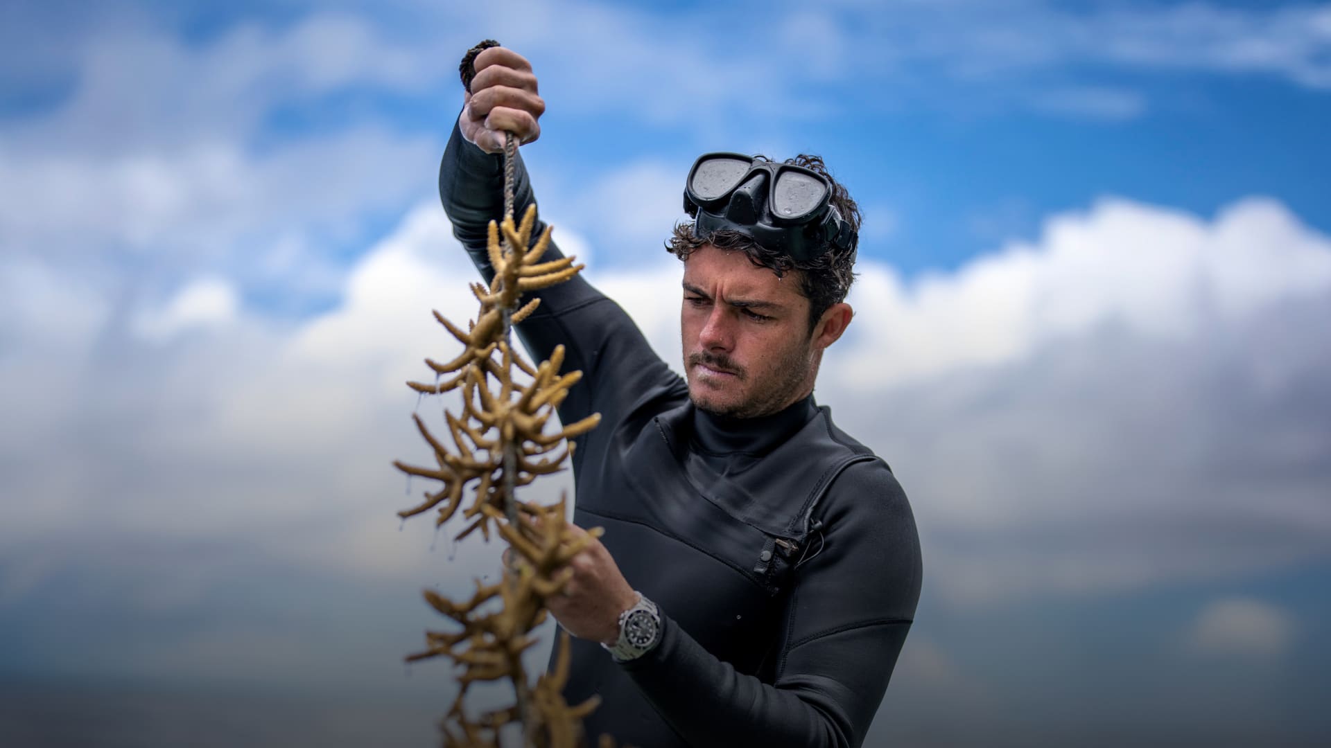 蒂托安・贝尼科特