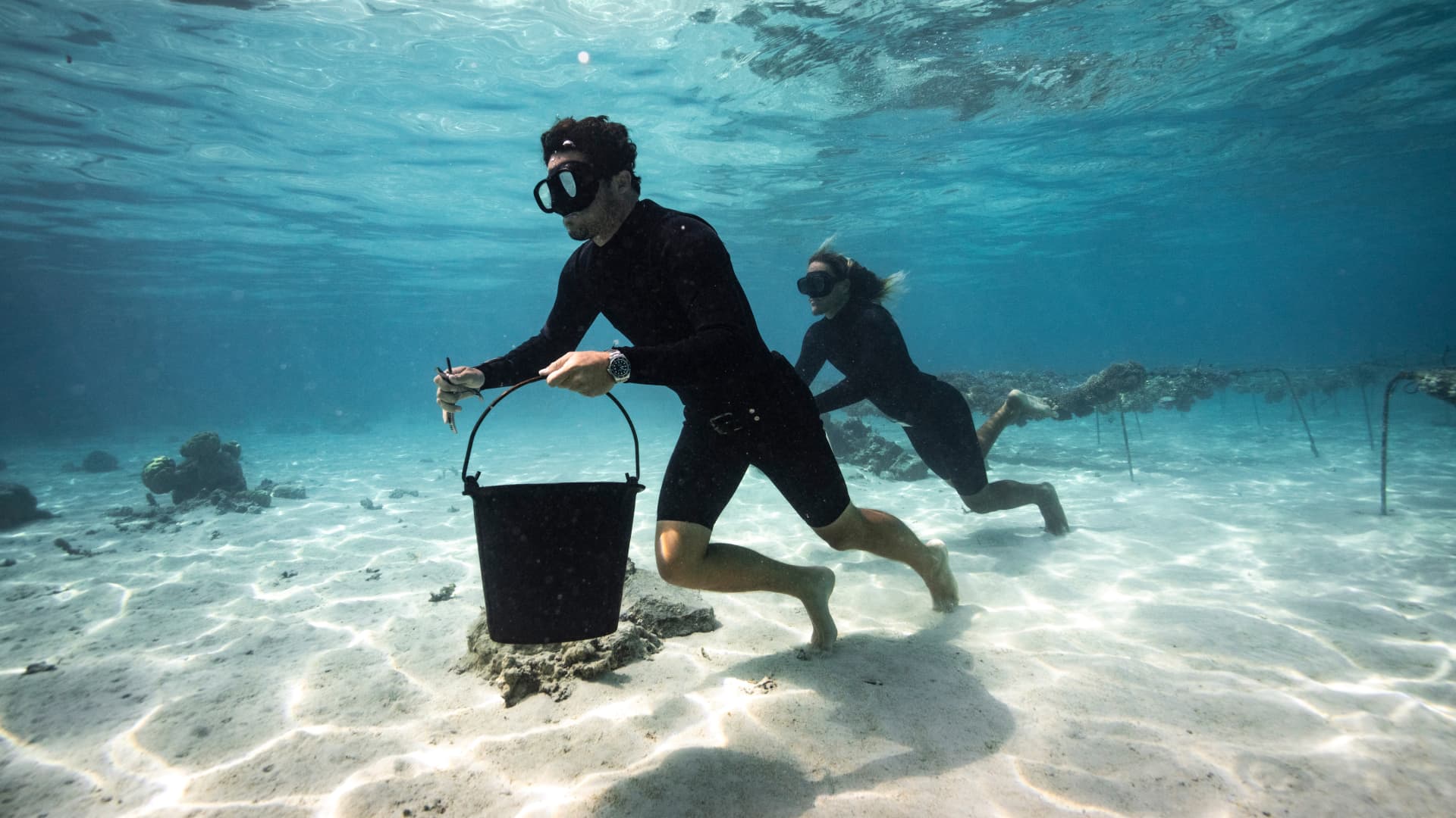 Bernicot plants the coral under the sea.