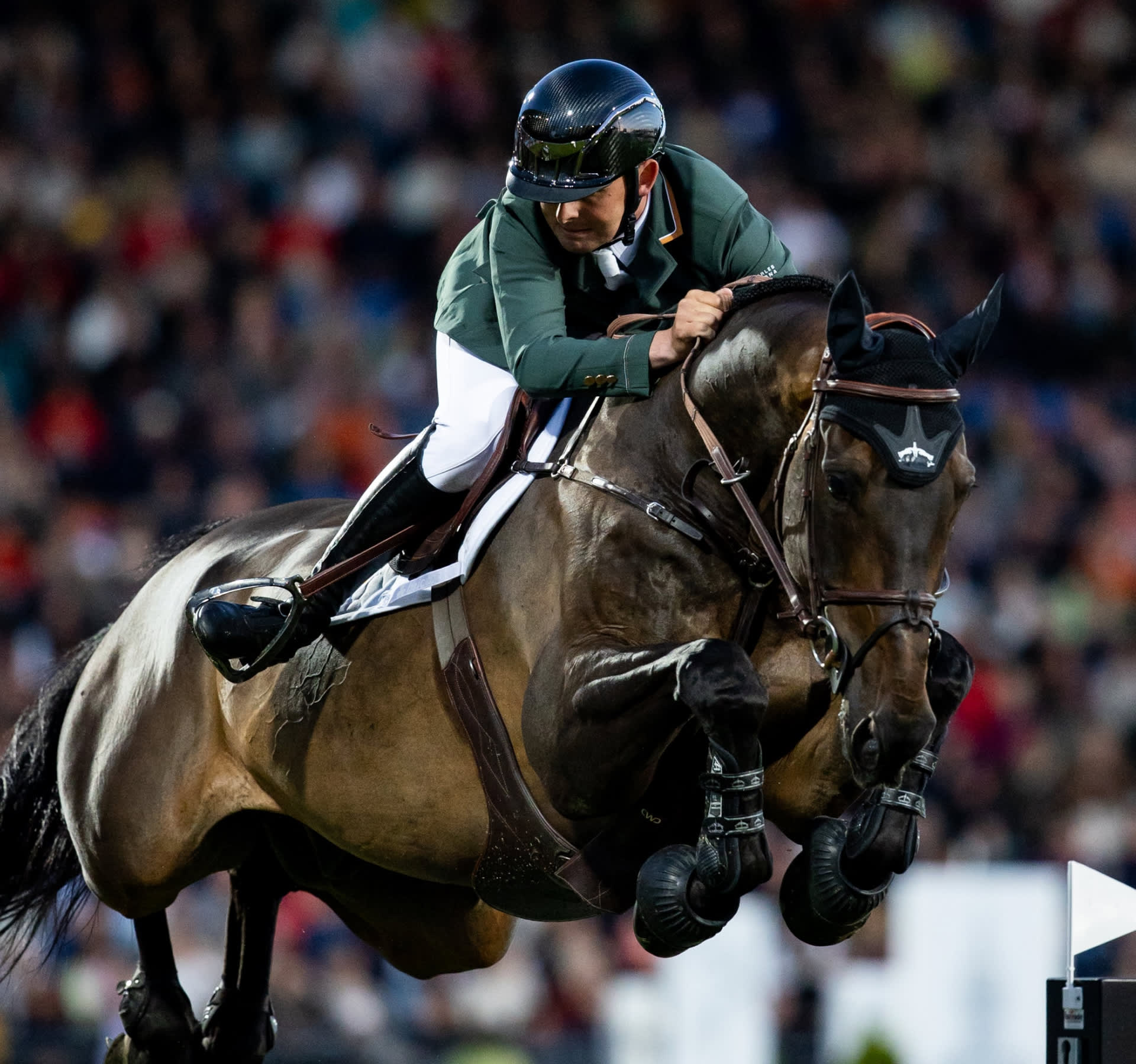 Bertram Allen rides the horse