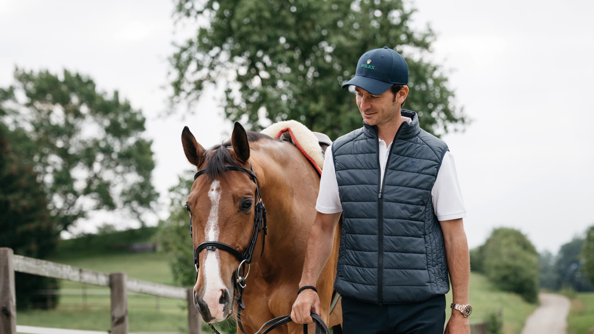 史蒂夫・戈尔达