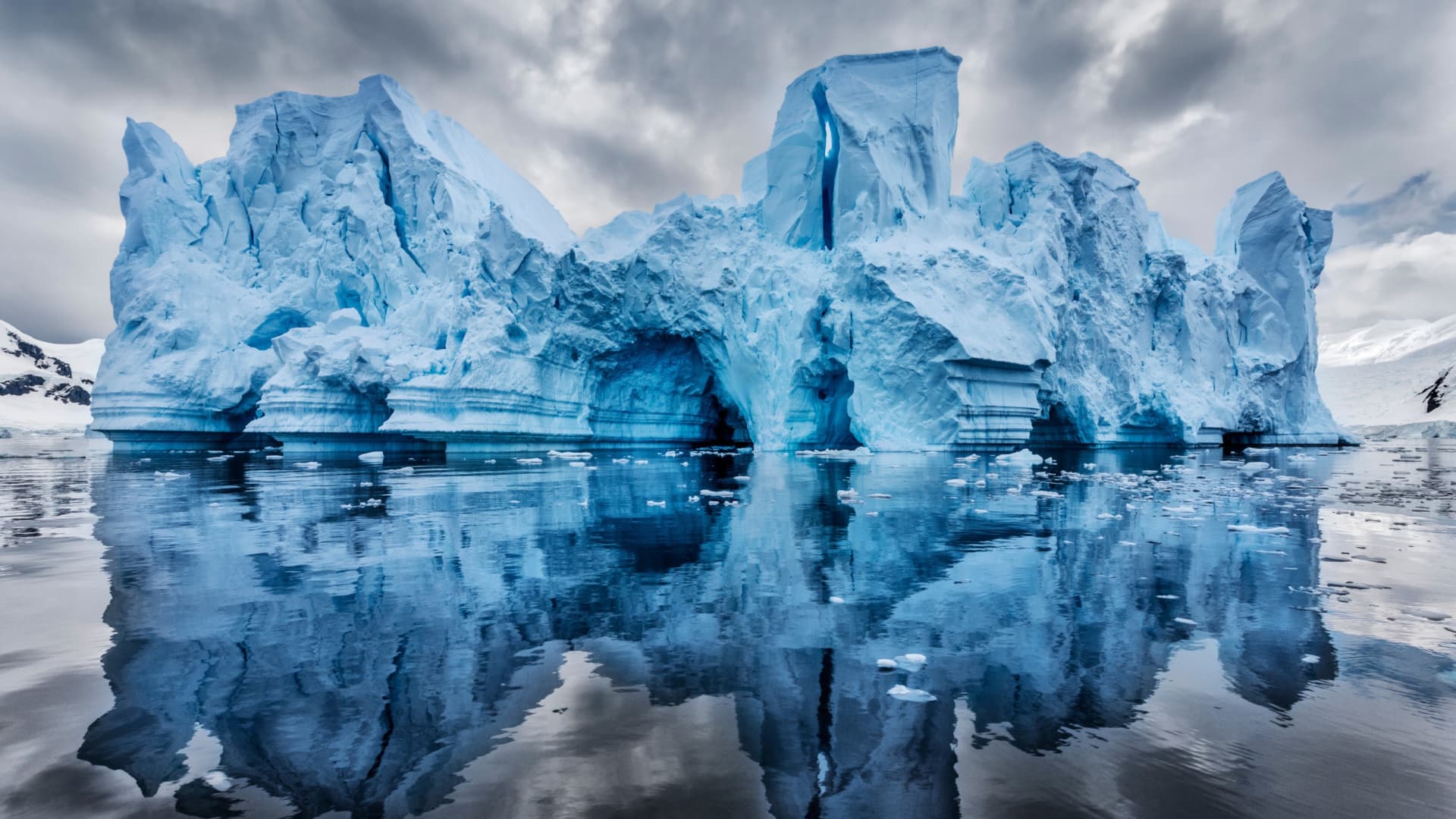 Paul Nicklen