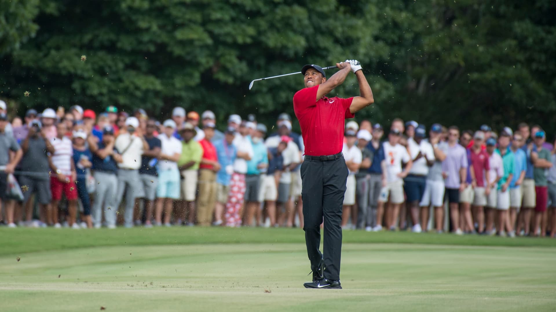 Tiger Woods swing