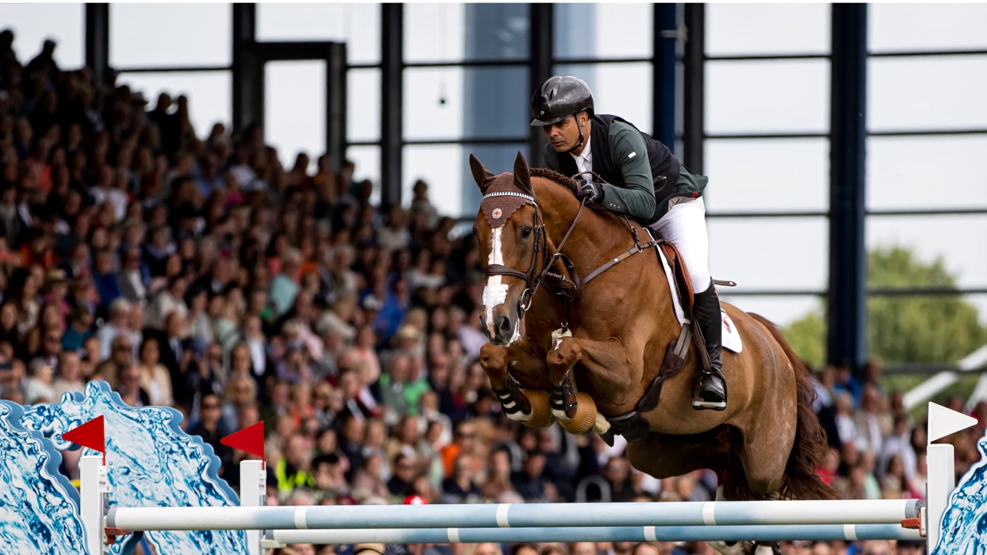 罗德里格・佩索阿