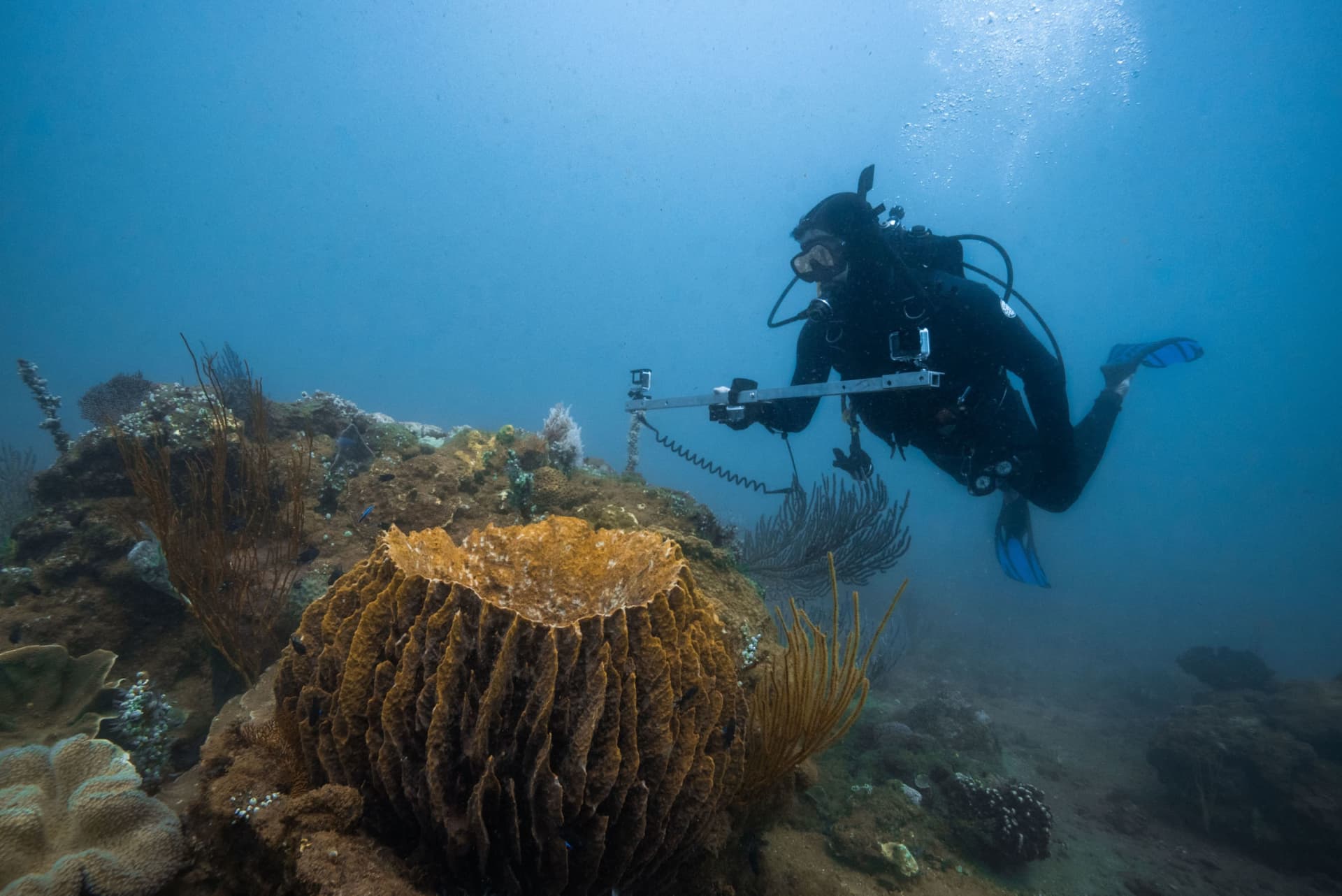 埃克斯茅斯湾“希望点”