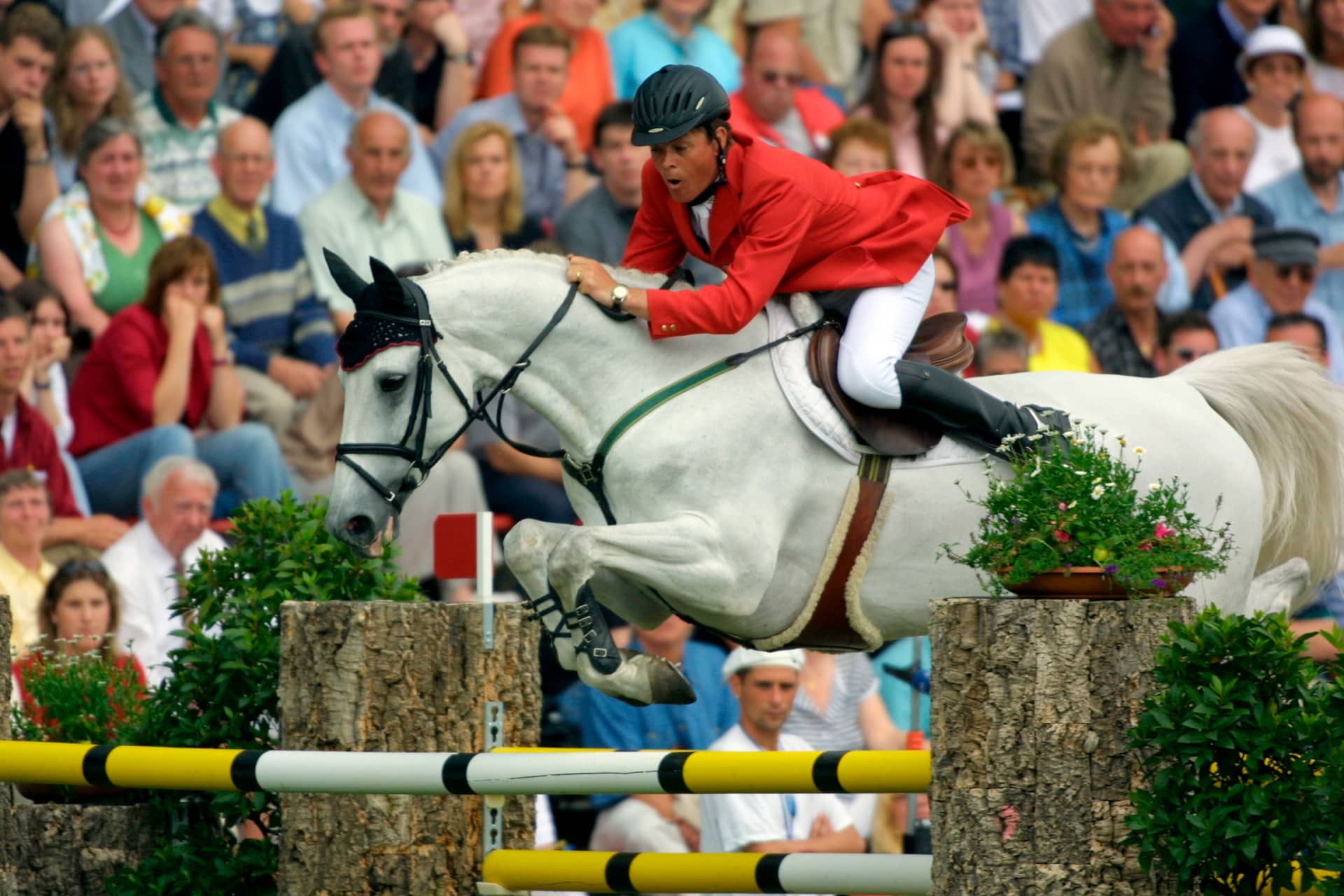 杰伦・迪伯尔丹