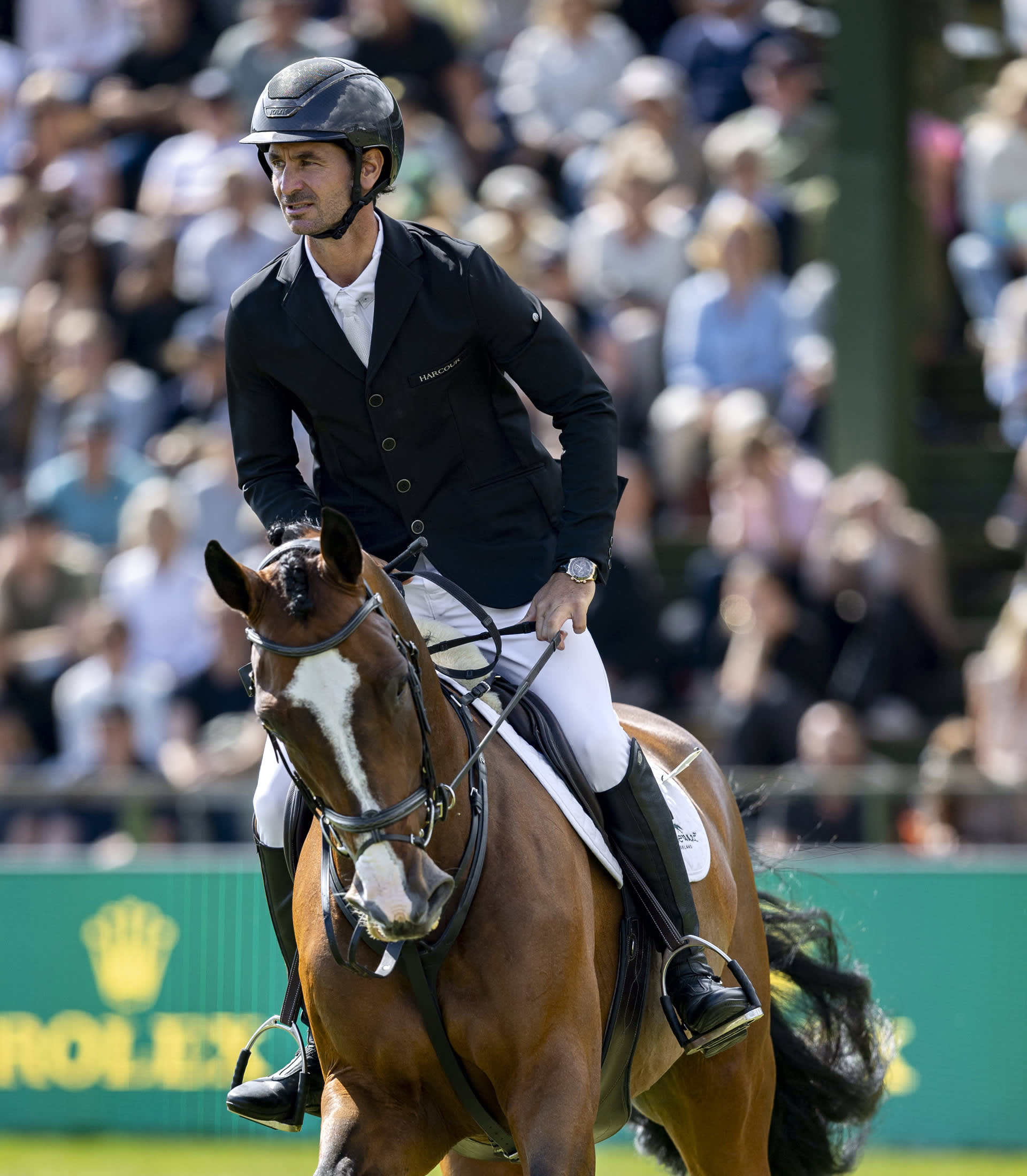 史蒂夫・戈尔达