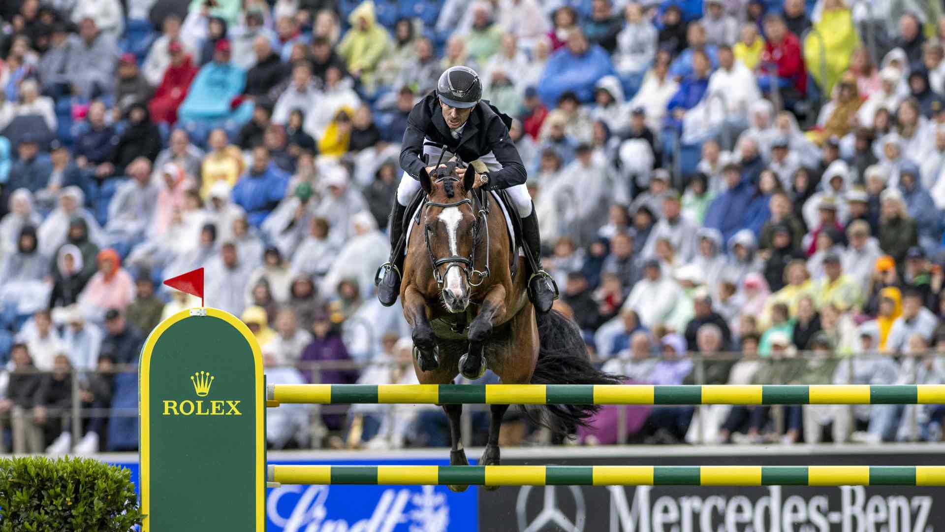 史蒂夫・戈尔达骑马