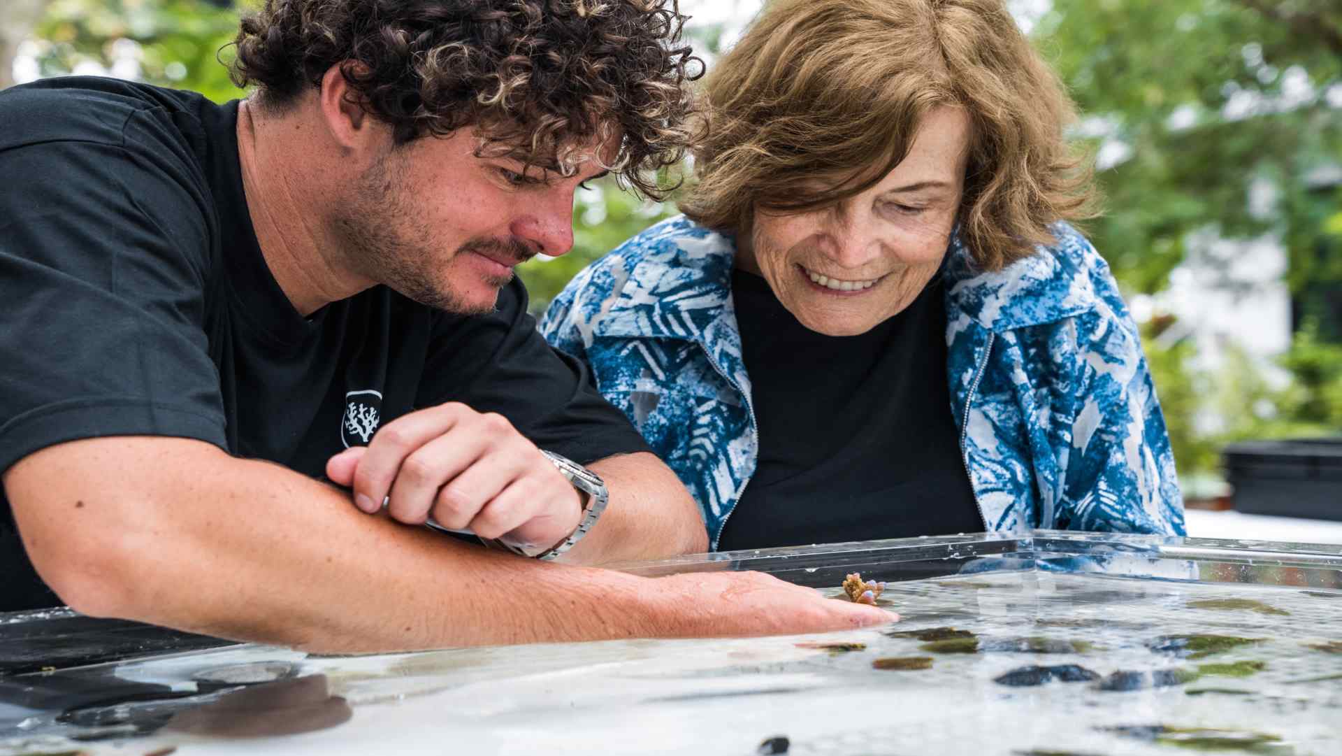 “珊瑚园丁” x 席薇亚・厄尔